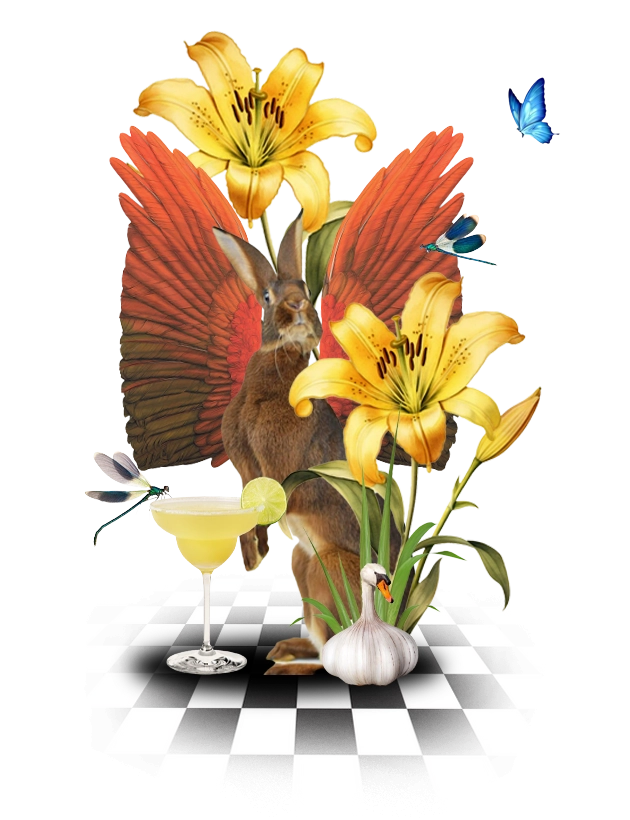 slider-image