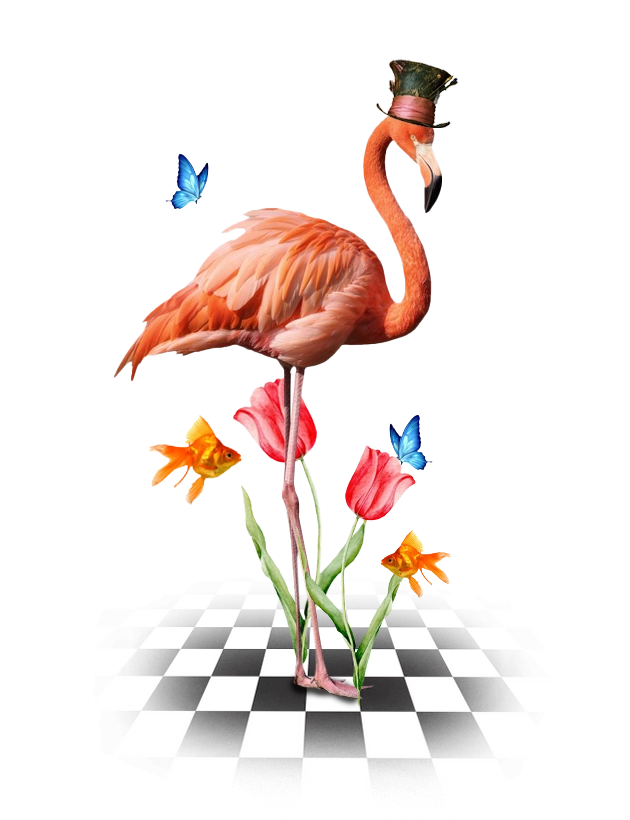 slider-image