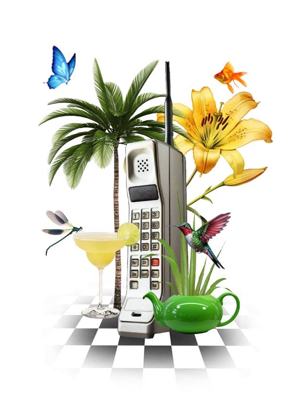 slider-image